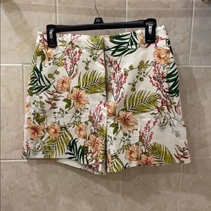 NWT Zara Shorts Sumer Palm Tropical